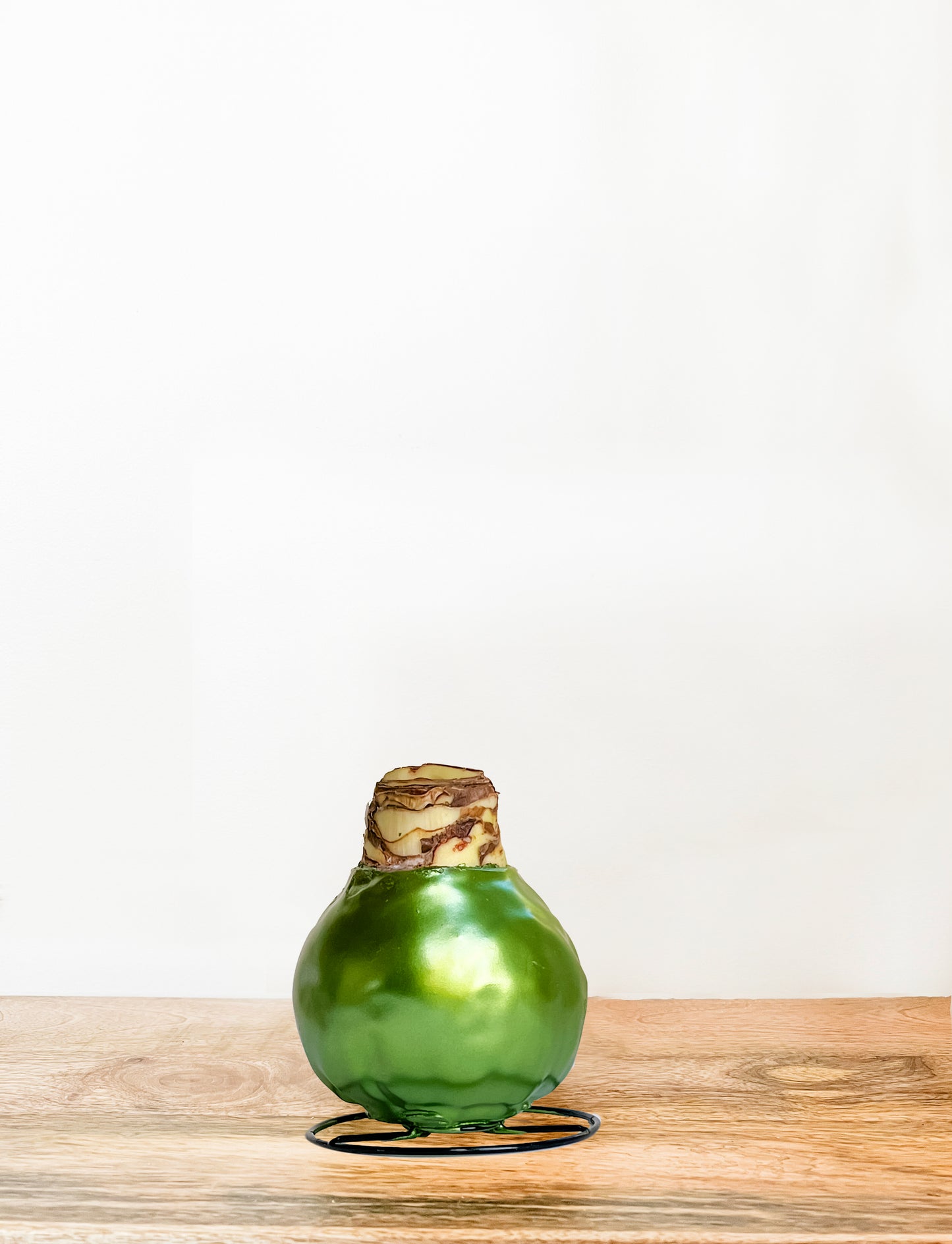 Green Shine with White Blooms