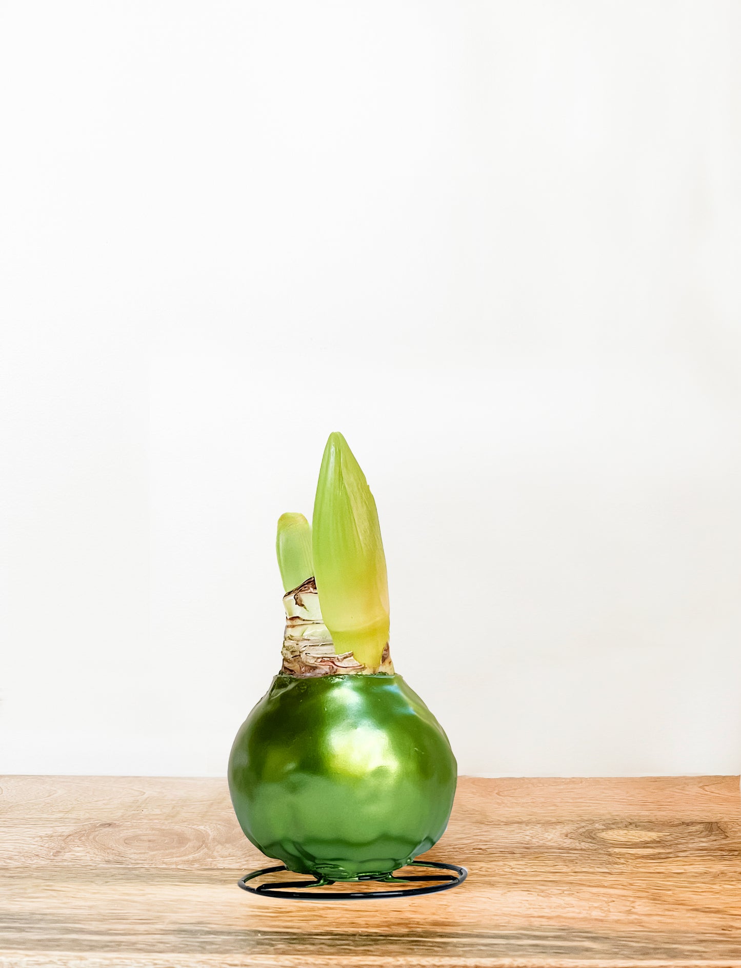 Green Shine with White Blooms