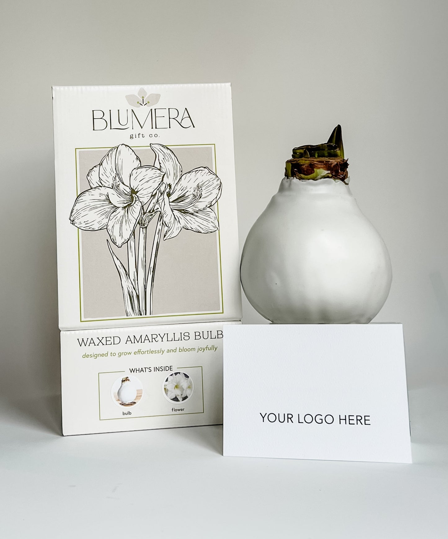 Corporate & Custom Gifts