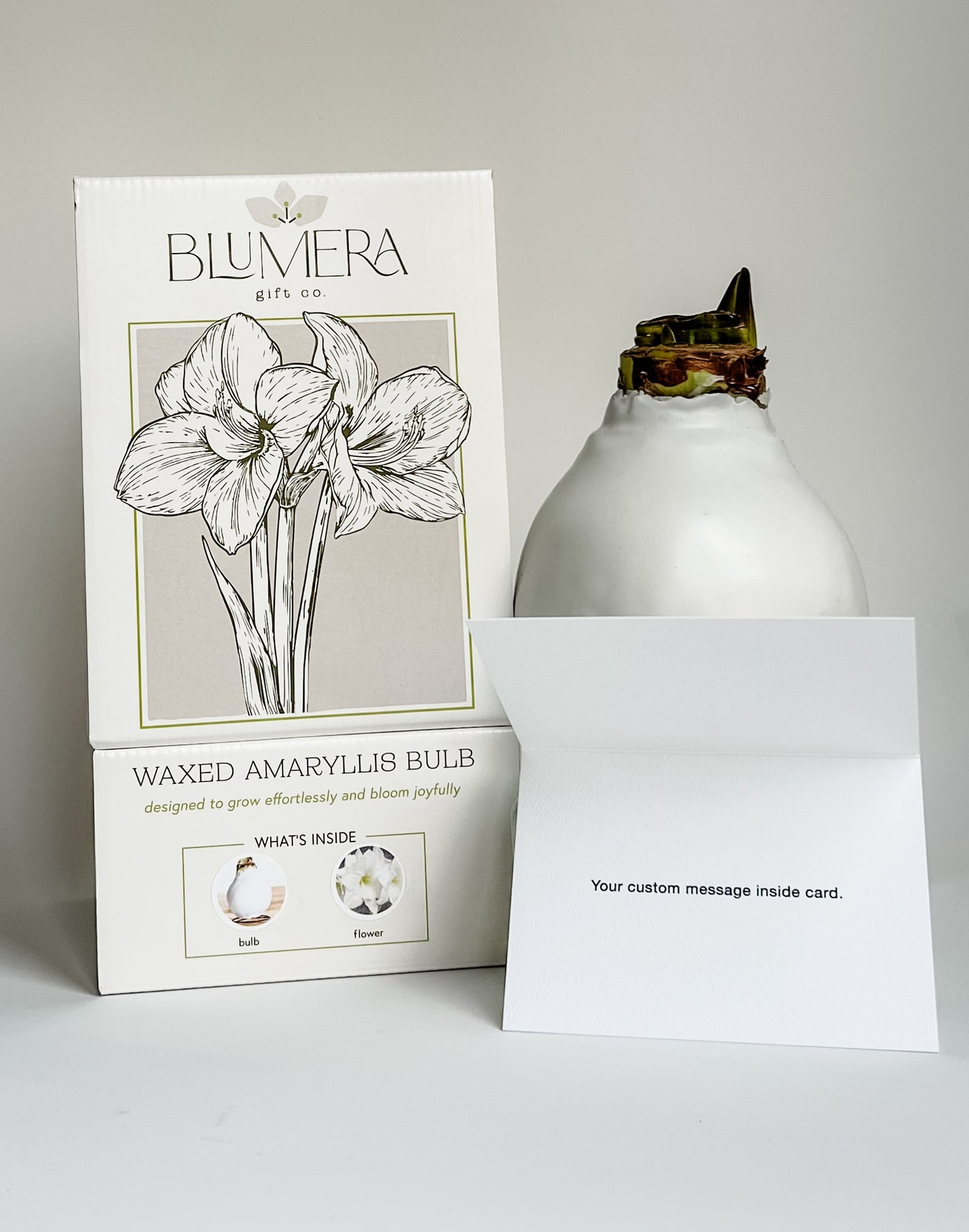 Corporate & Custom Gifts