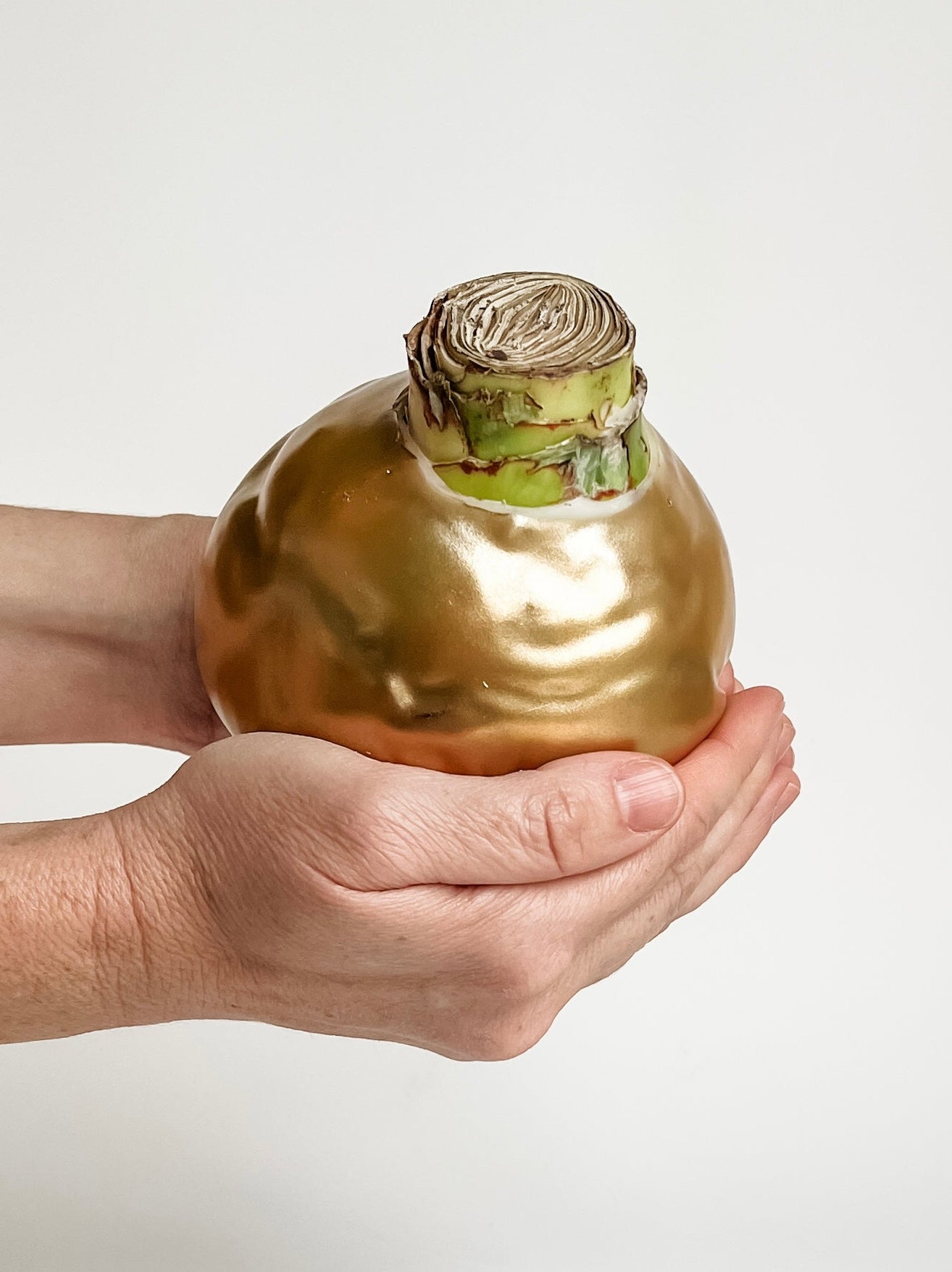 Gold Shine with Burgundy Bloom