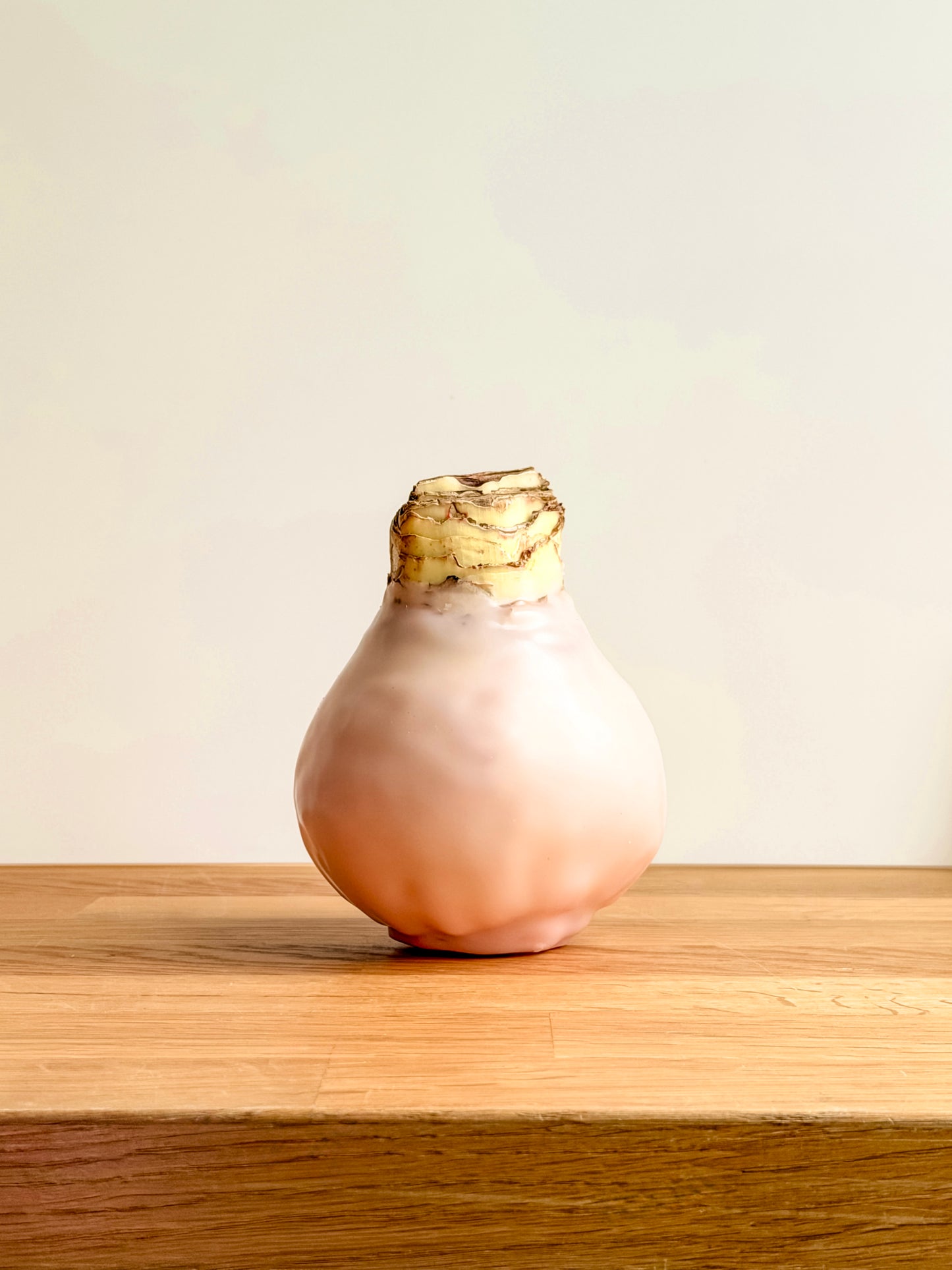 Apricot Blush with Pink Blooms