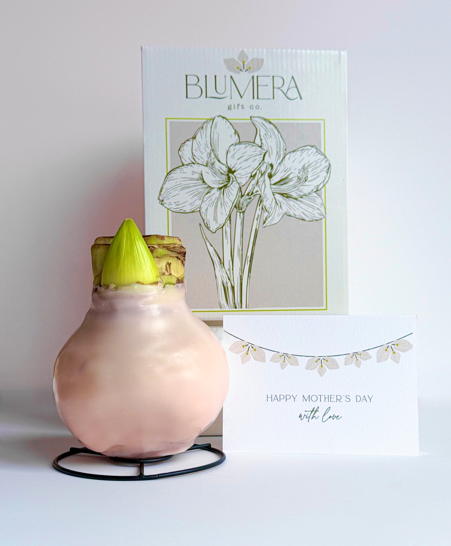 Apricot Blush with Pink Blooms