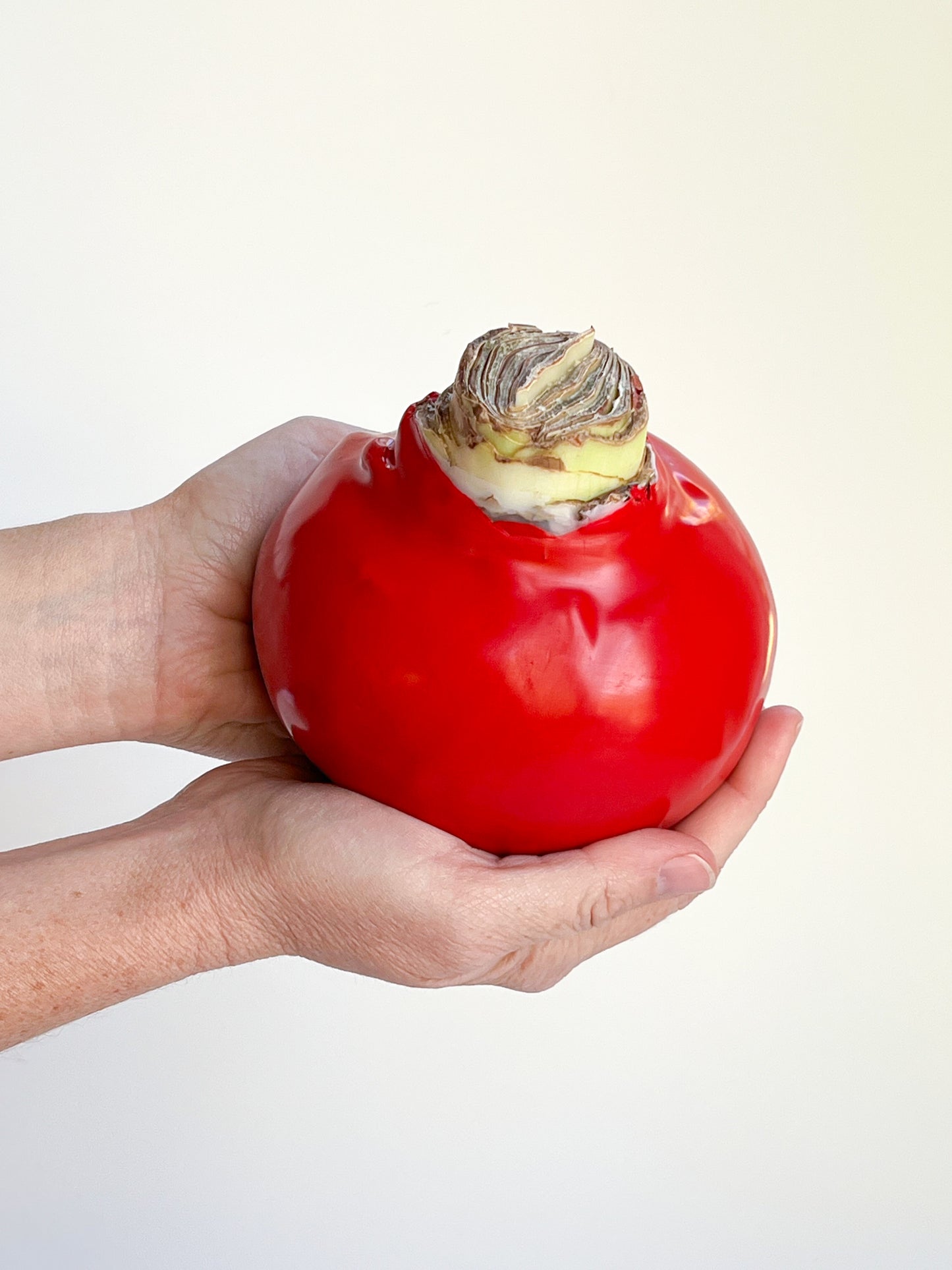 Classic Ruby with Red Blooms