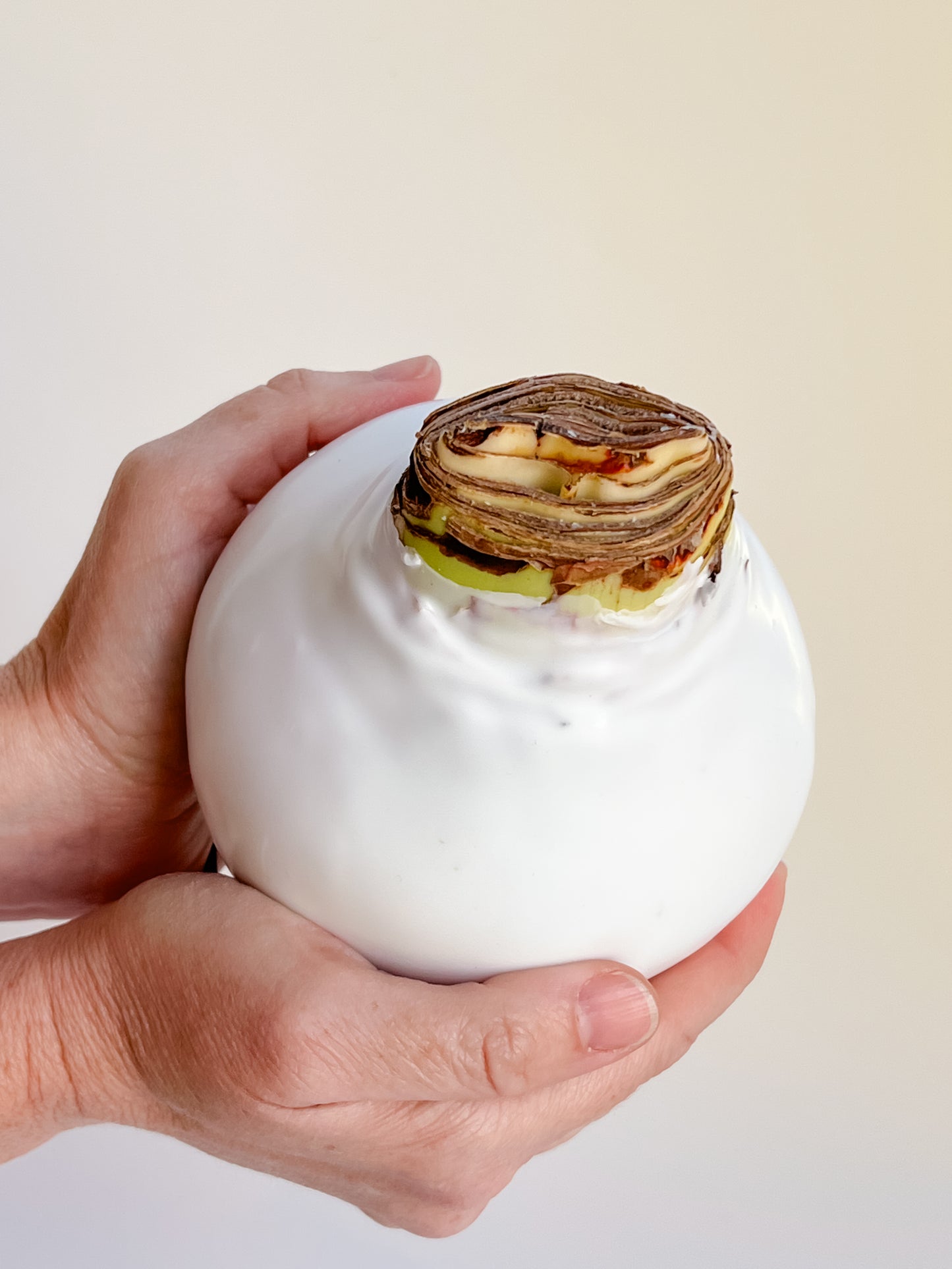 Classic White with White Blooms