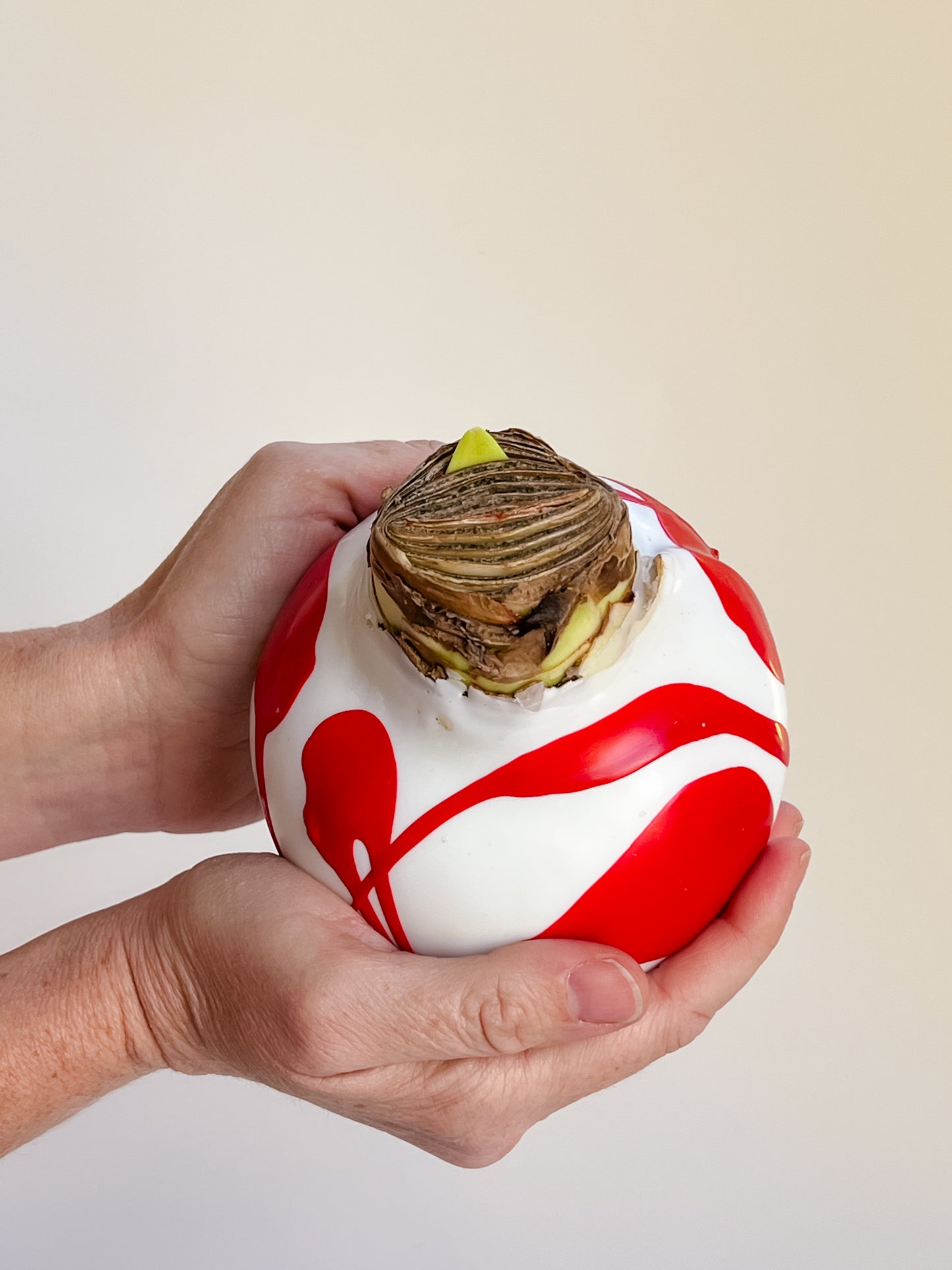 White With Red Splatter with Red Blooms