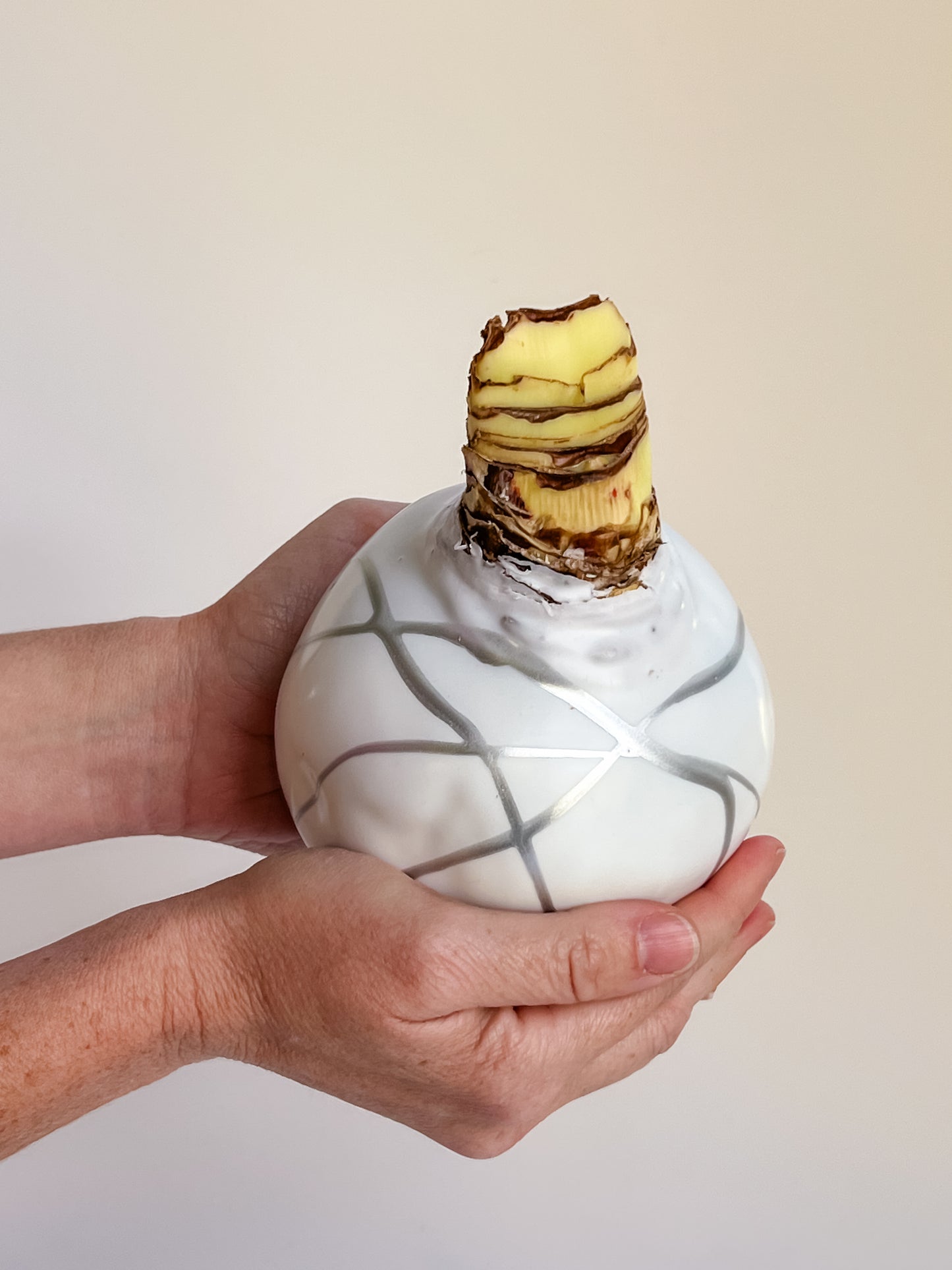 White & Silver Splatter with Fuchsia Blooms