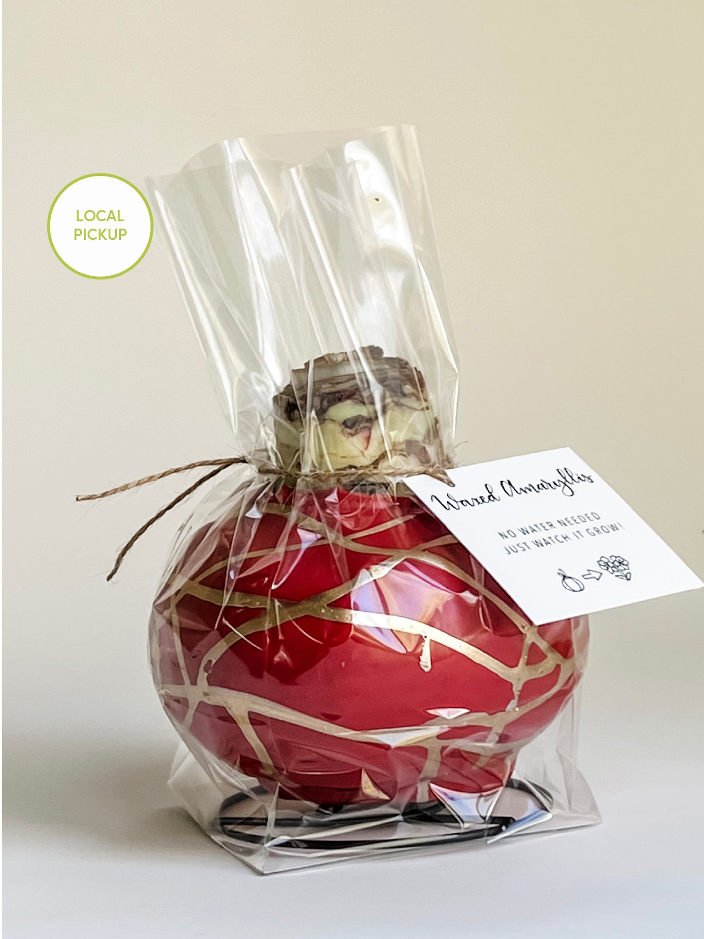 Ruby & Gold Splatter with Red Blooms