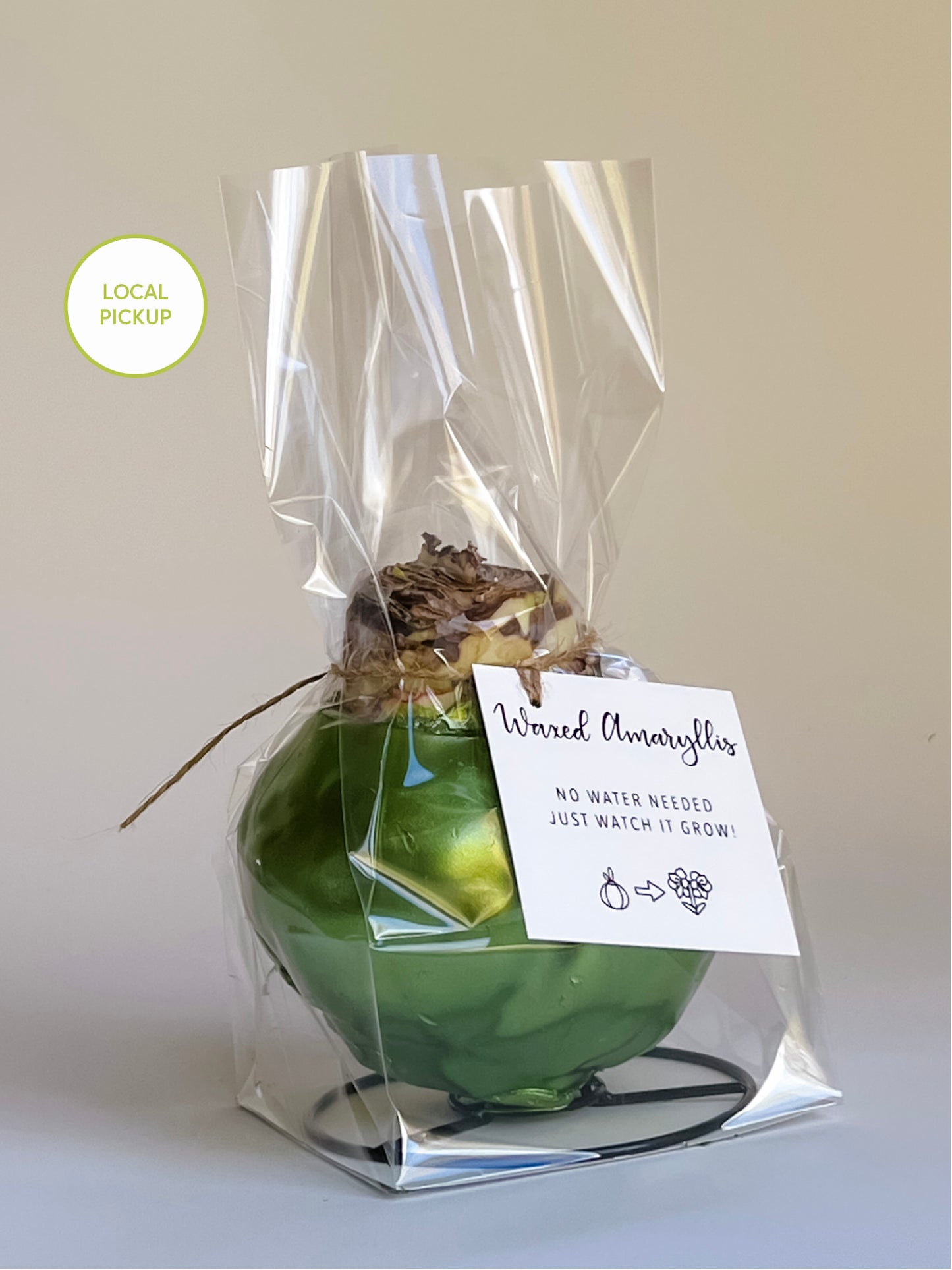 Green Shine with White Blooms