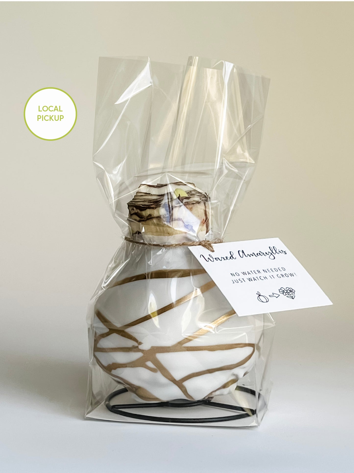 White & Gold Splatter with Red Blooms