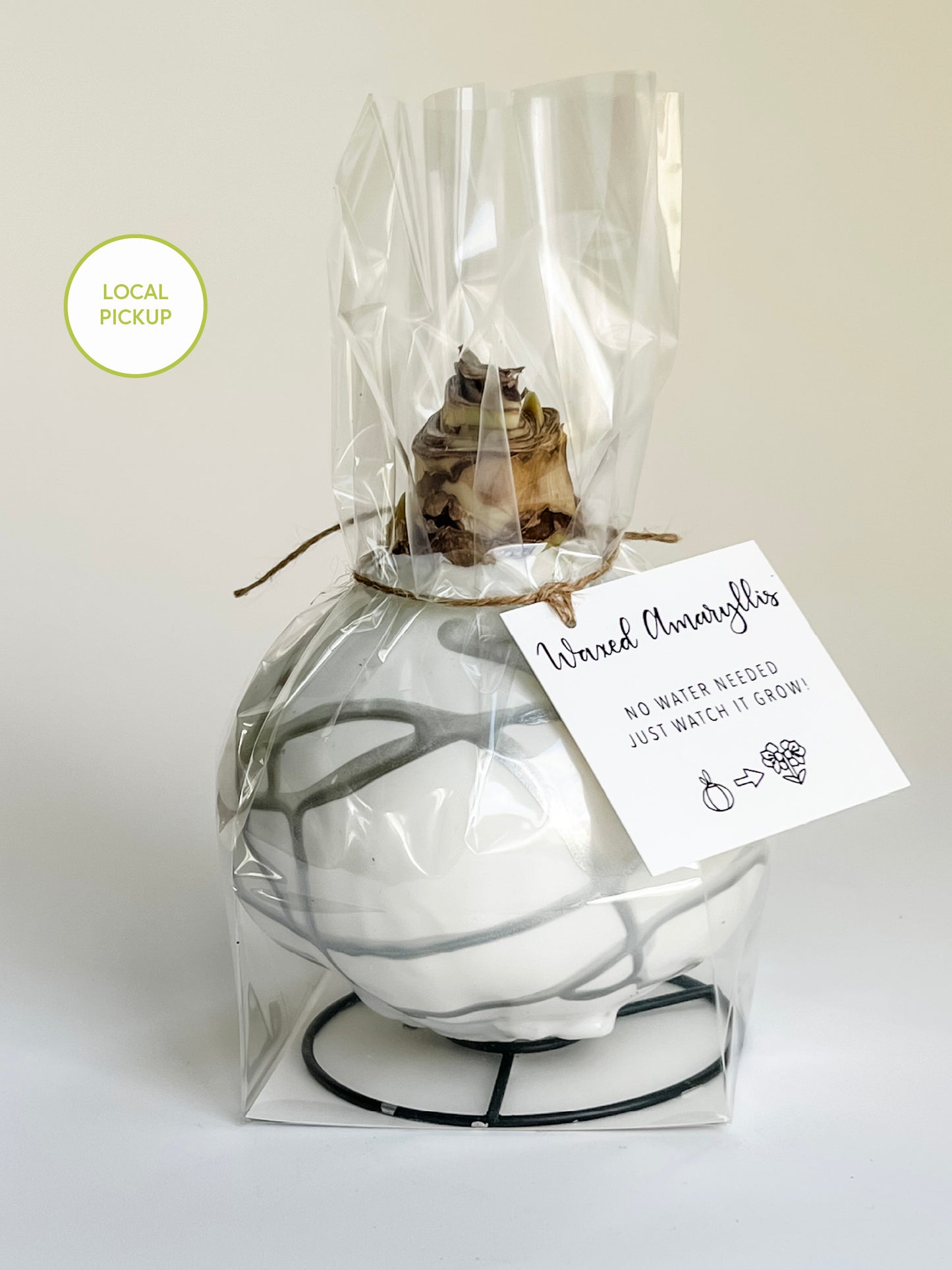 White & Silver Splatter with Fuchsia Blooms