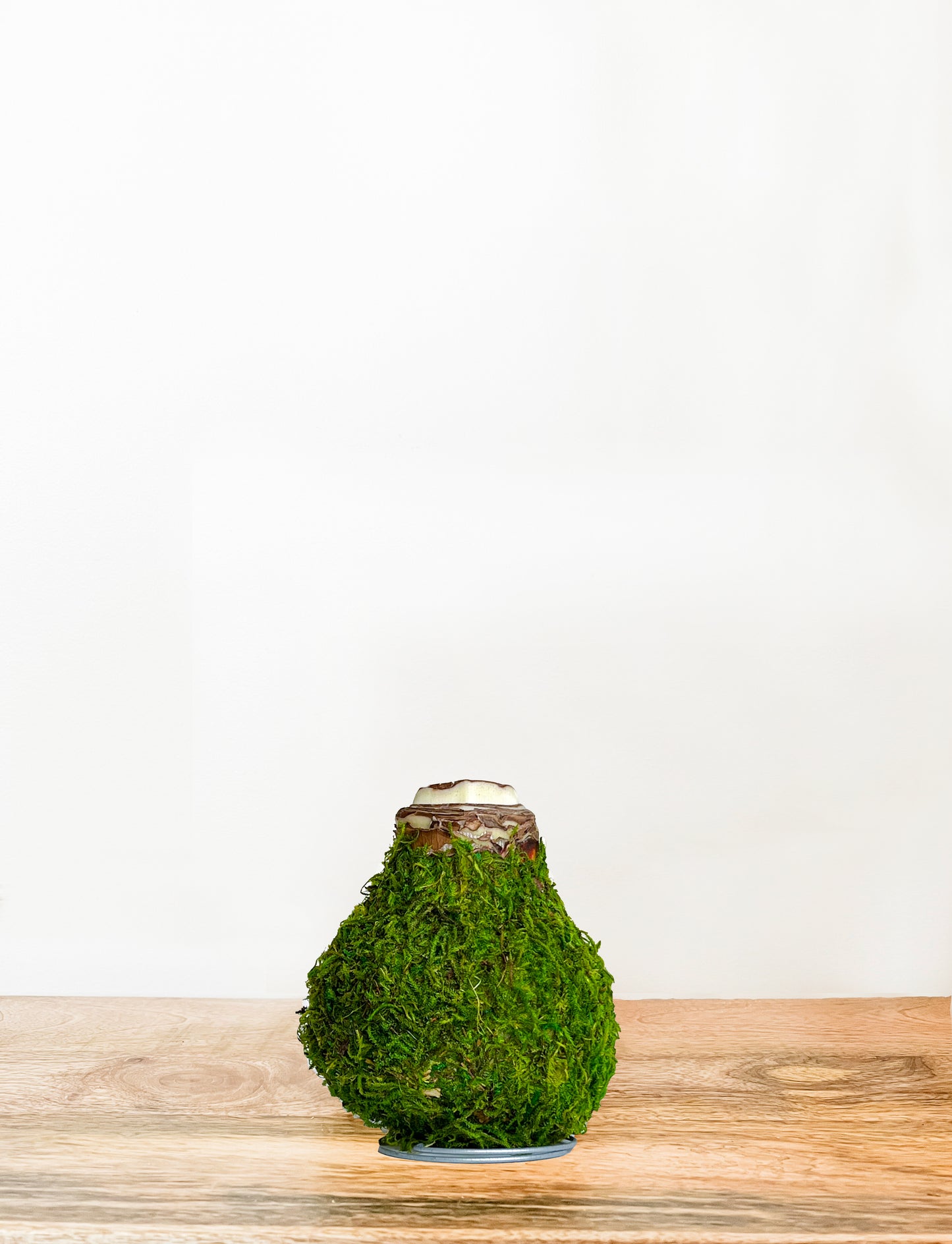 Woodland Moss with White Blooms