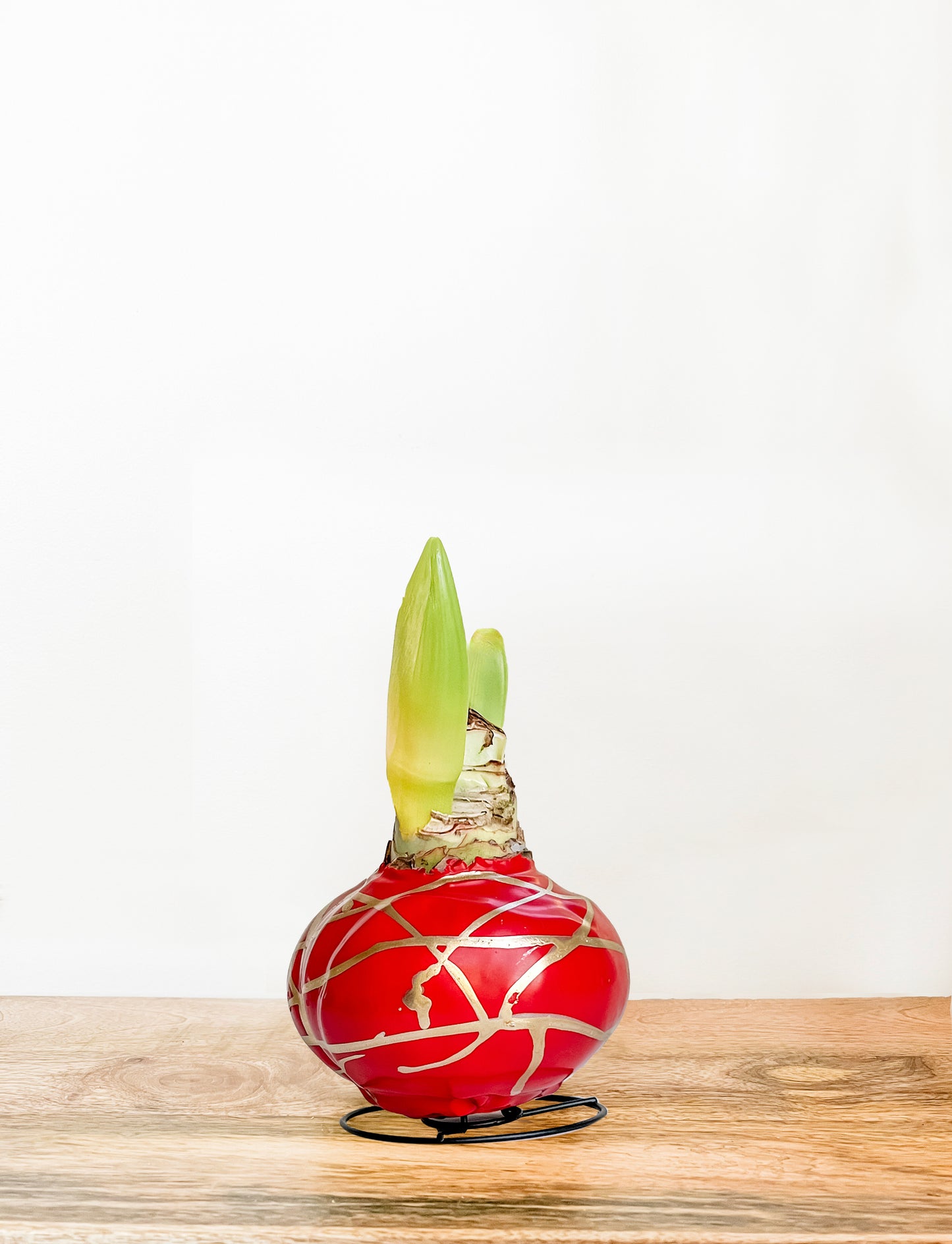 Ruby & Gold Splatter with Red Blooms