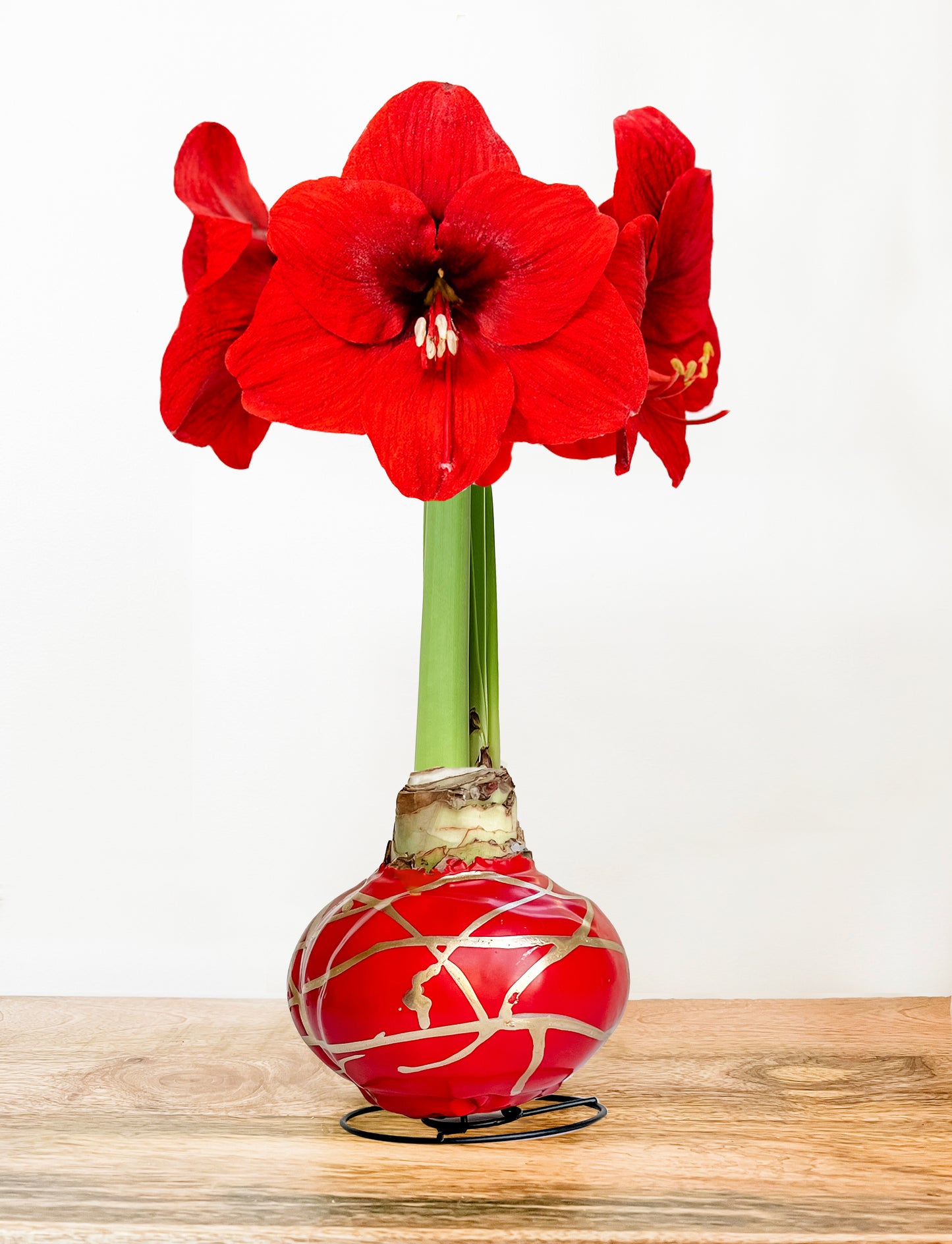 Ruby & Gold Splatter with Red Blooms