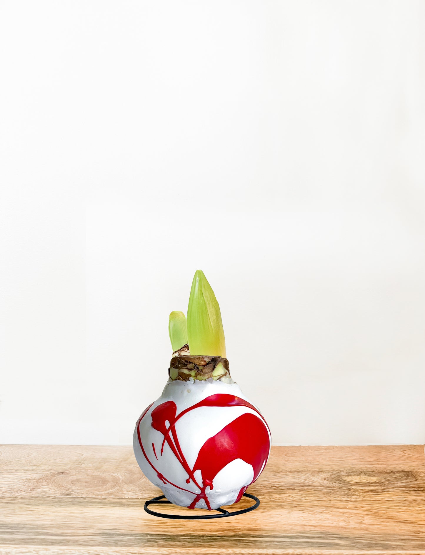 White With Red Splatter with Red Blooms