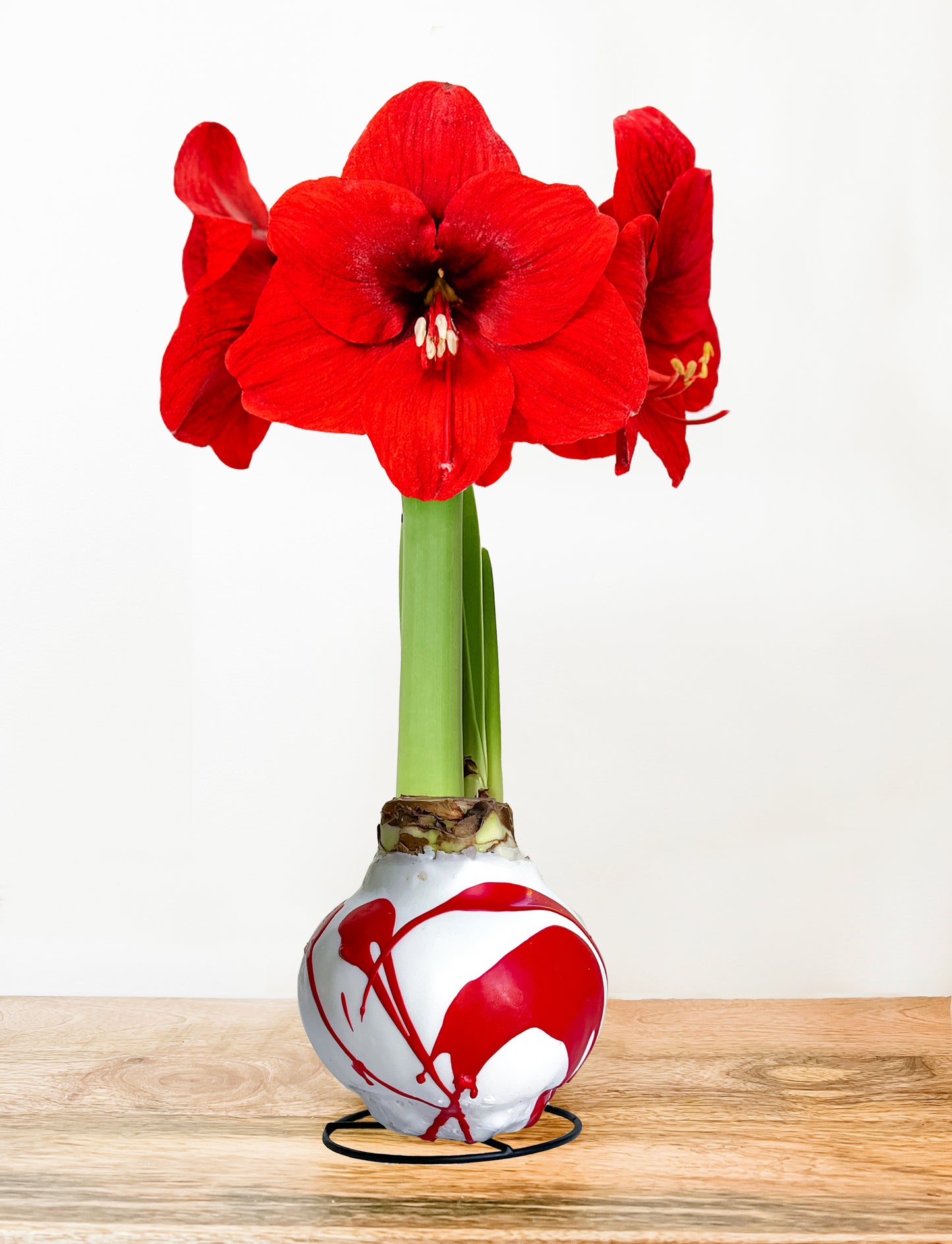 White With Red Splatter with Red Blooms