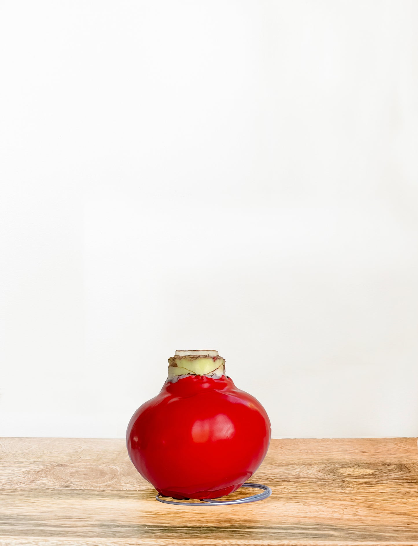 Classic Ruby with Red Blooms