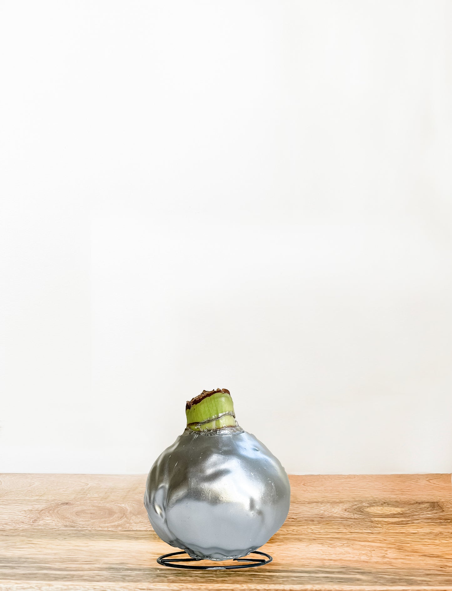 Silver Shine with Red & White Blooms