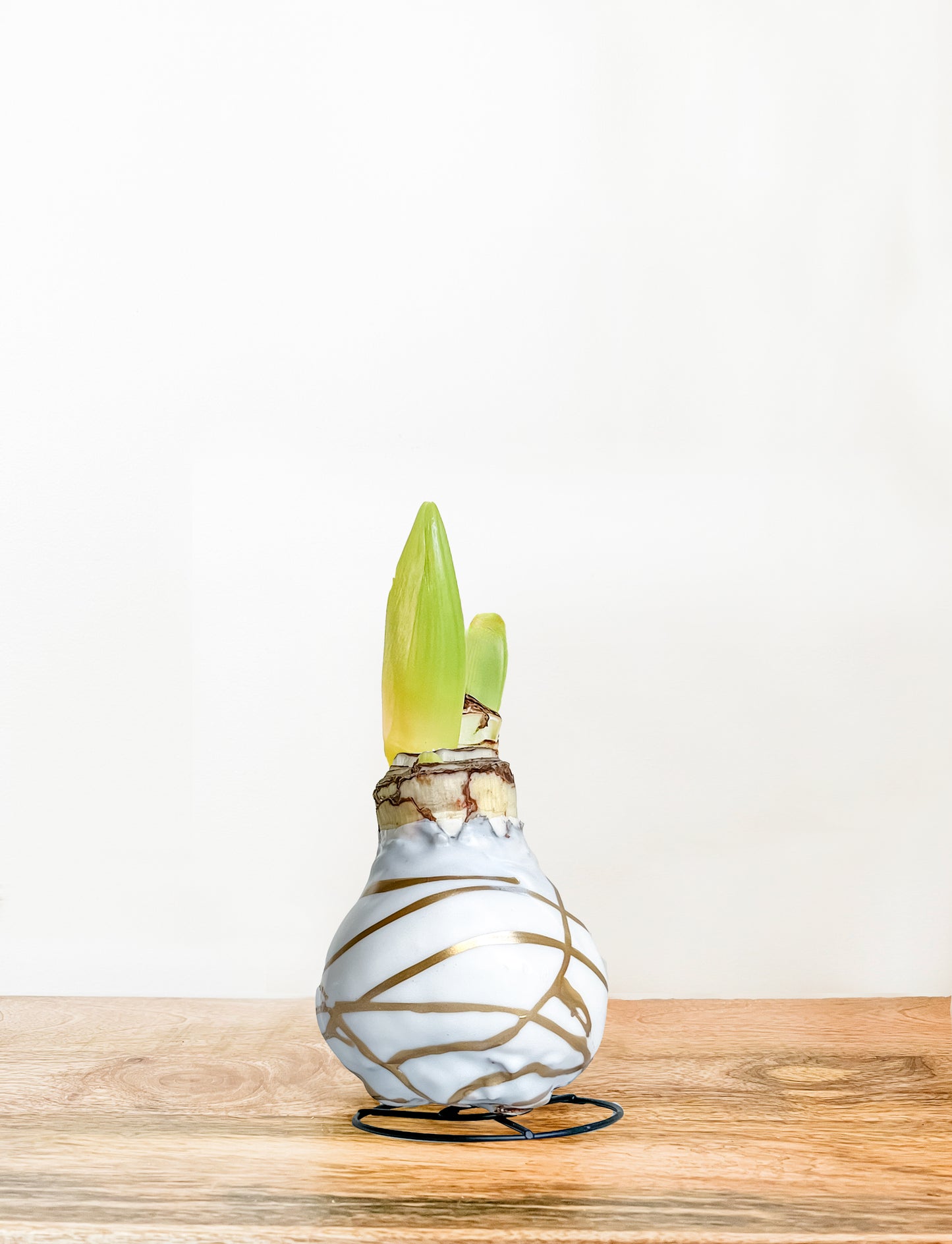 White & Gold Splatter with Red Blooms