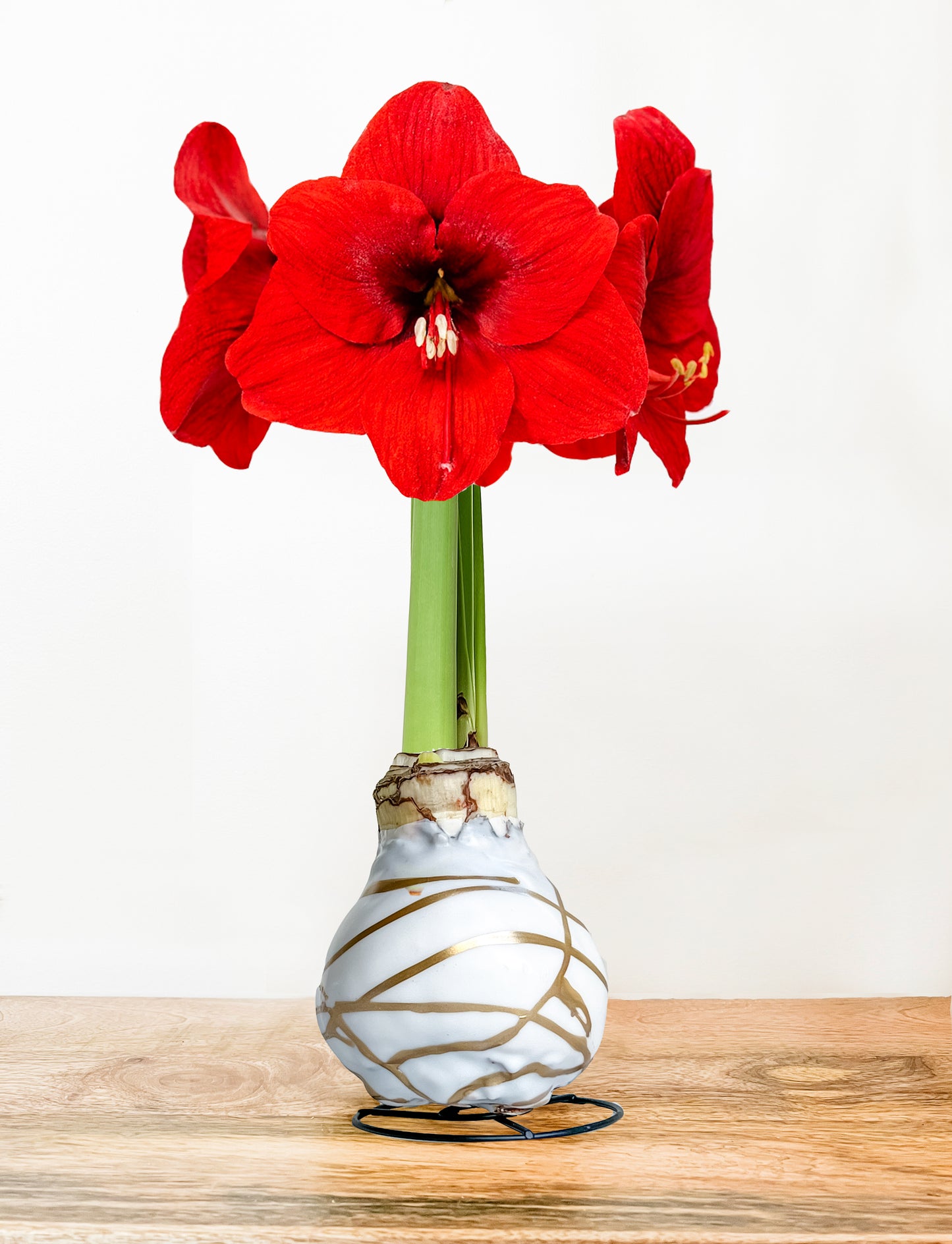White & Gold Splatter with Red Blooms
