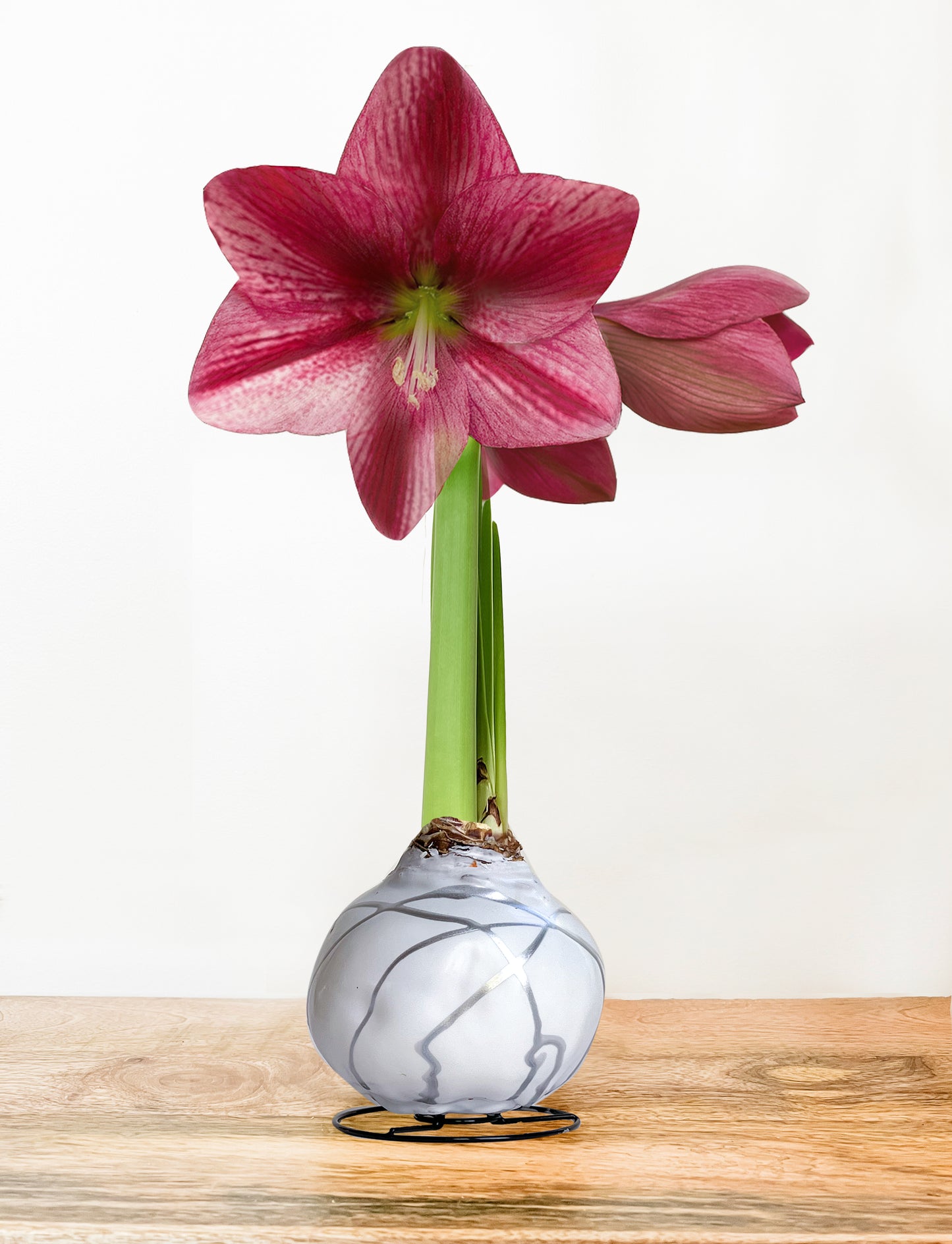 White & Silver Splatter with Fuchsia Blooms