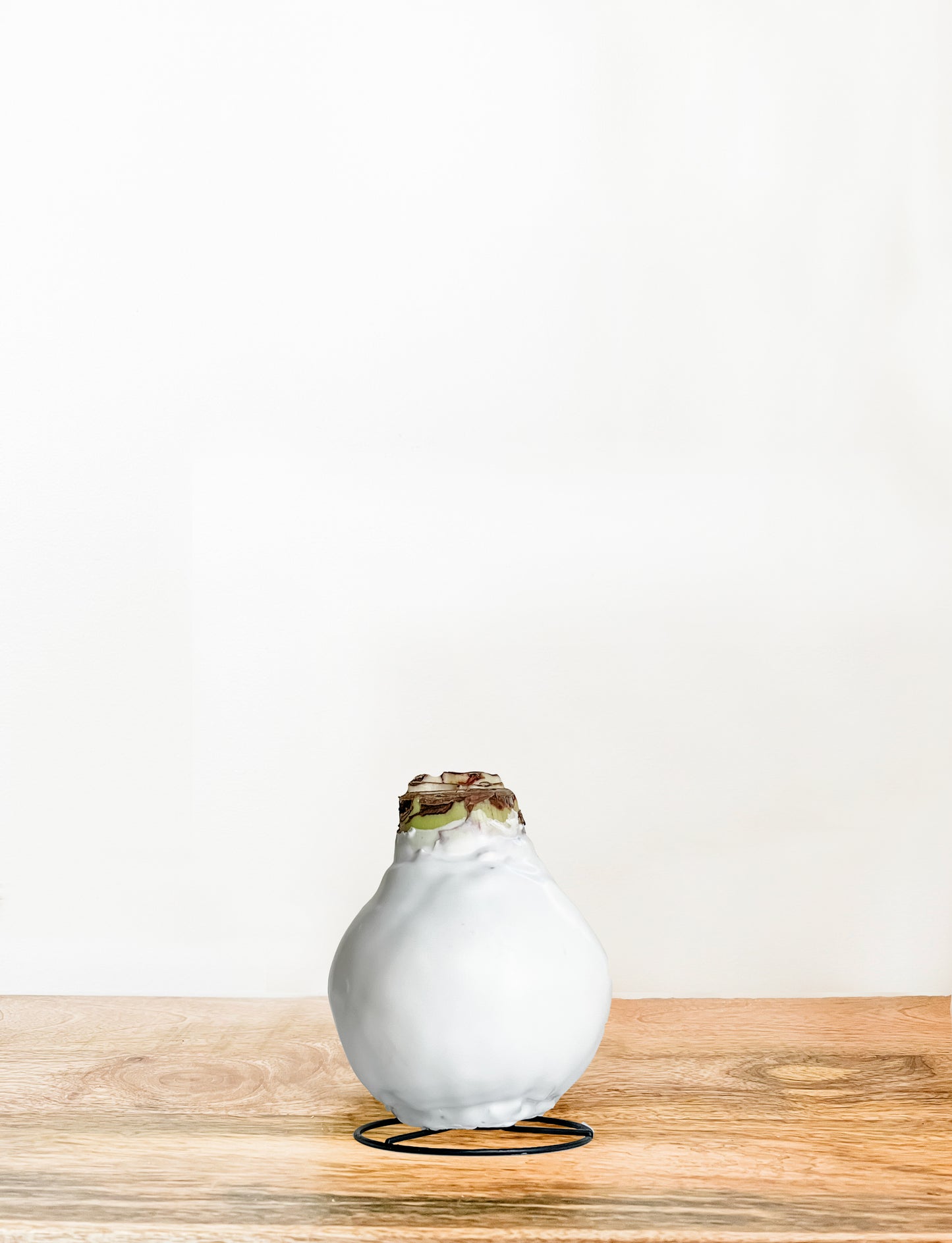 Classic White with Red & White Blooms