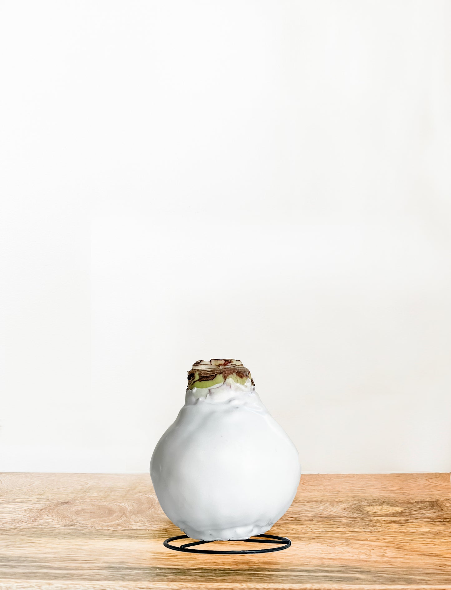 Classic White with White Blooms