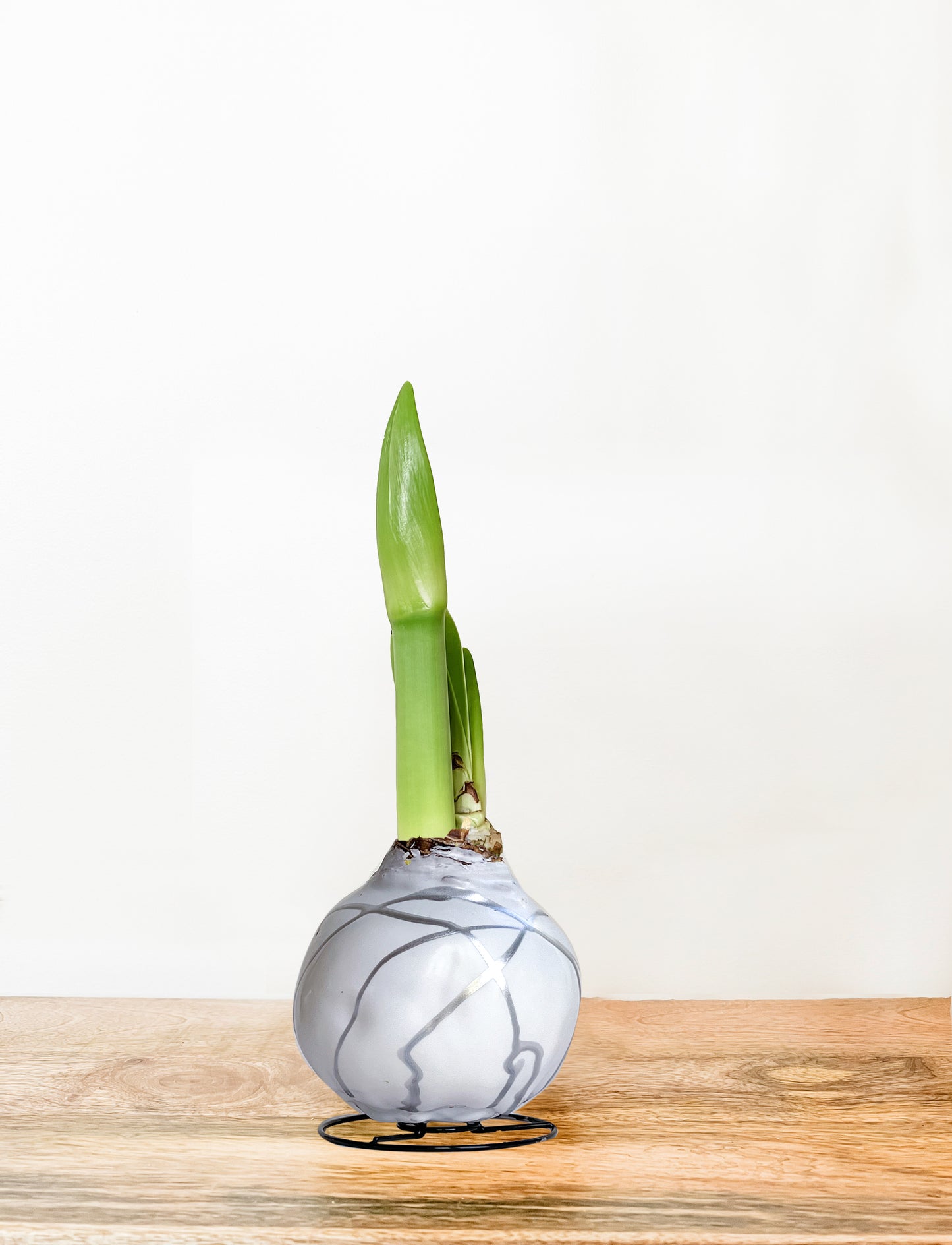 White & Silver Splatter with Fuchsia Blooms